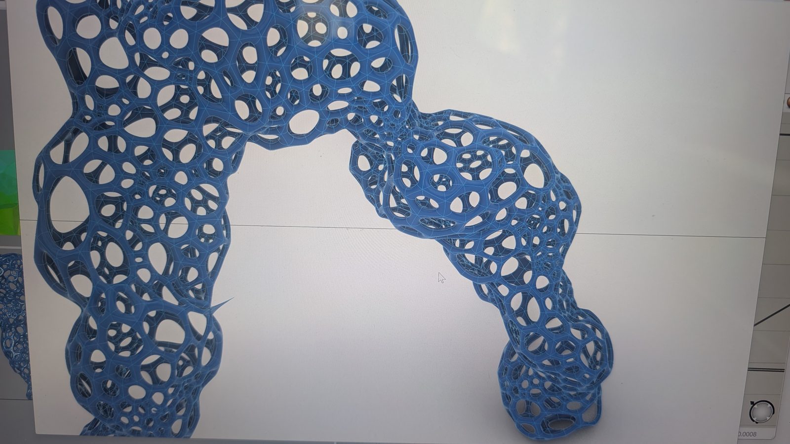 Starting with the Limbs — l'atelier — Le même substrat, de près