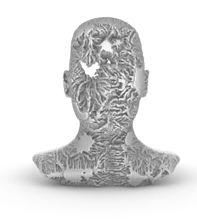 Masques — Body Architecture 2.0 — Érosion — le visage creusé, de face